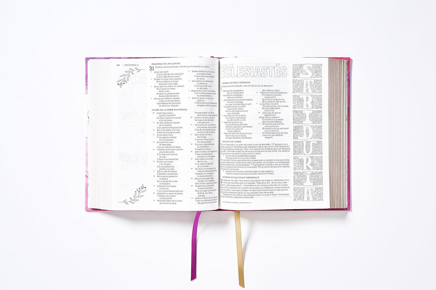 Biblia NBLA Edicion Artistica Ilustrada rosa TD