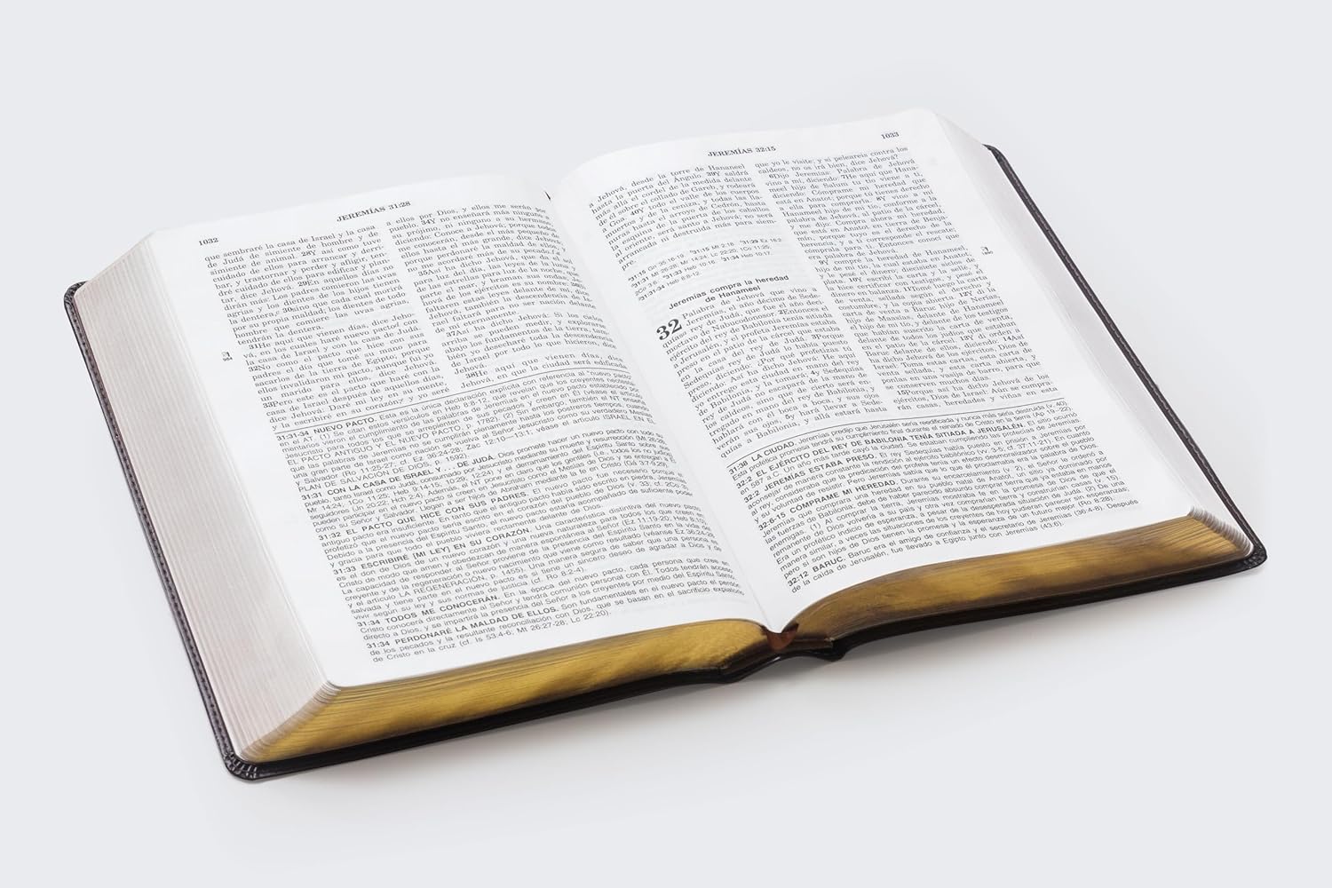 Biblia RVR60 vida plena dos tonos marron/marron
