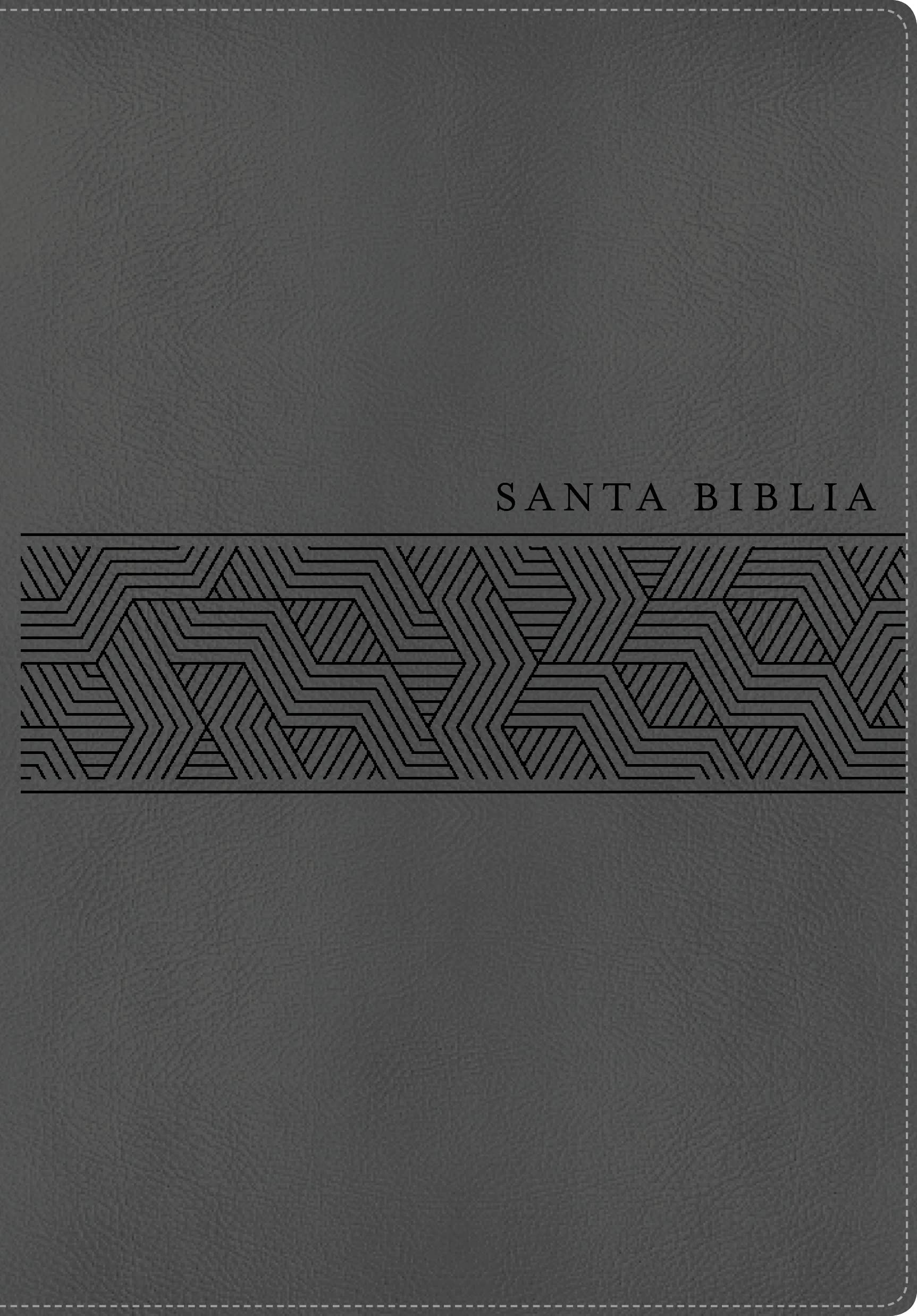 Biblia NTV Edicion manual gris