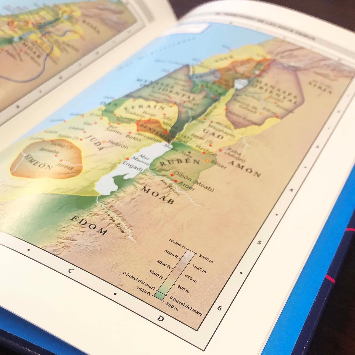 Biblia NVI 2022 para niños texto revisado