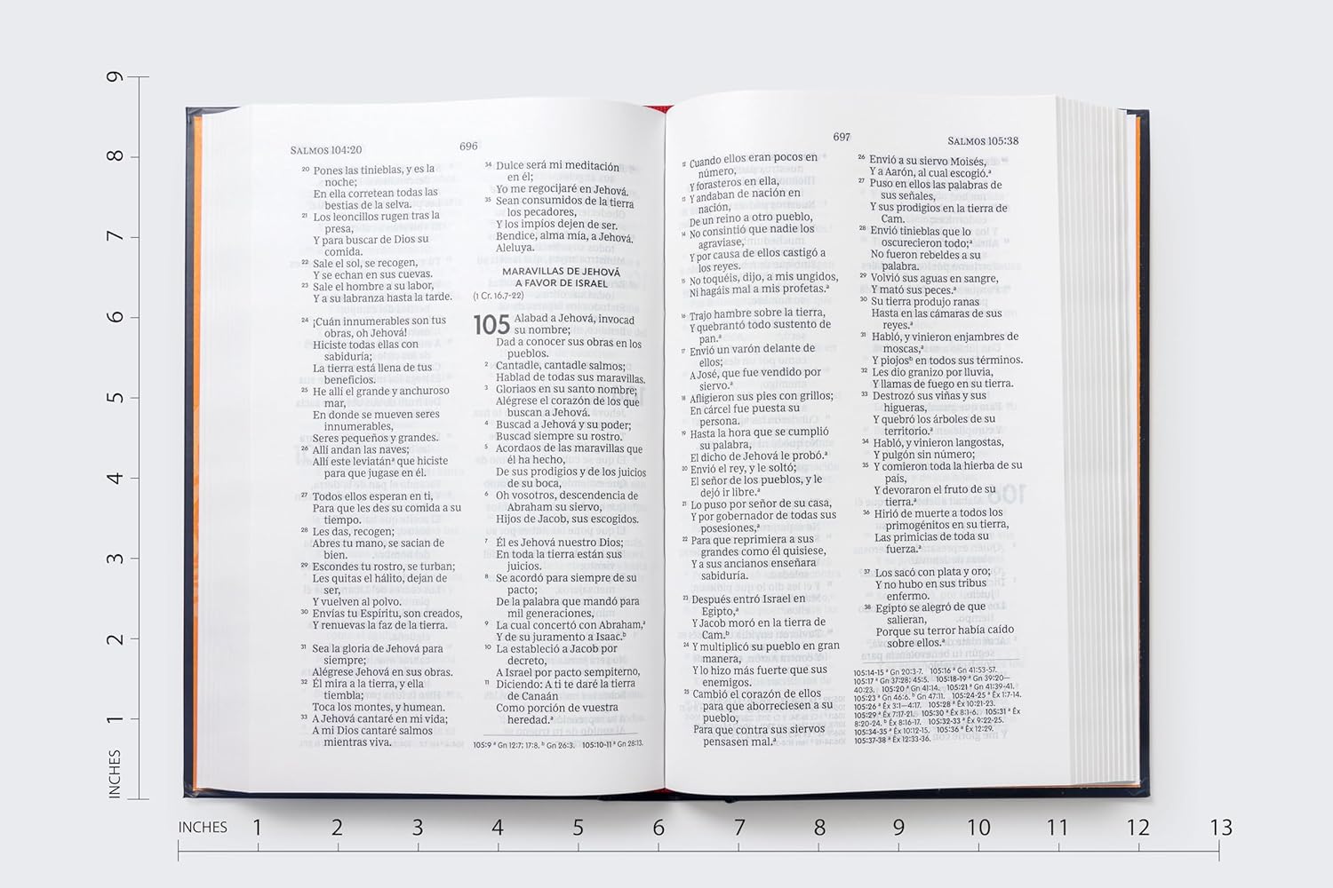 Biblia RVR60 premios y regalos Isaías 53 TD
