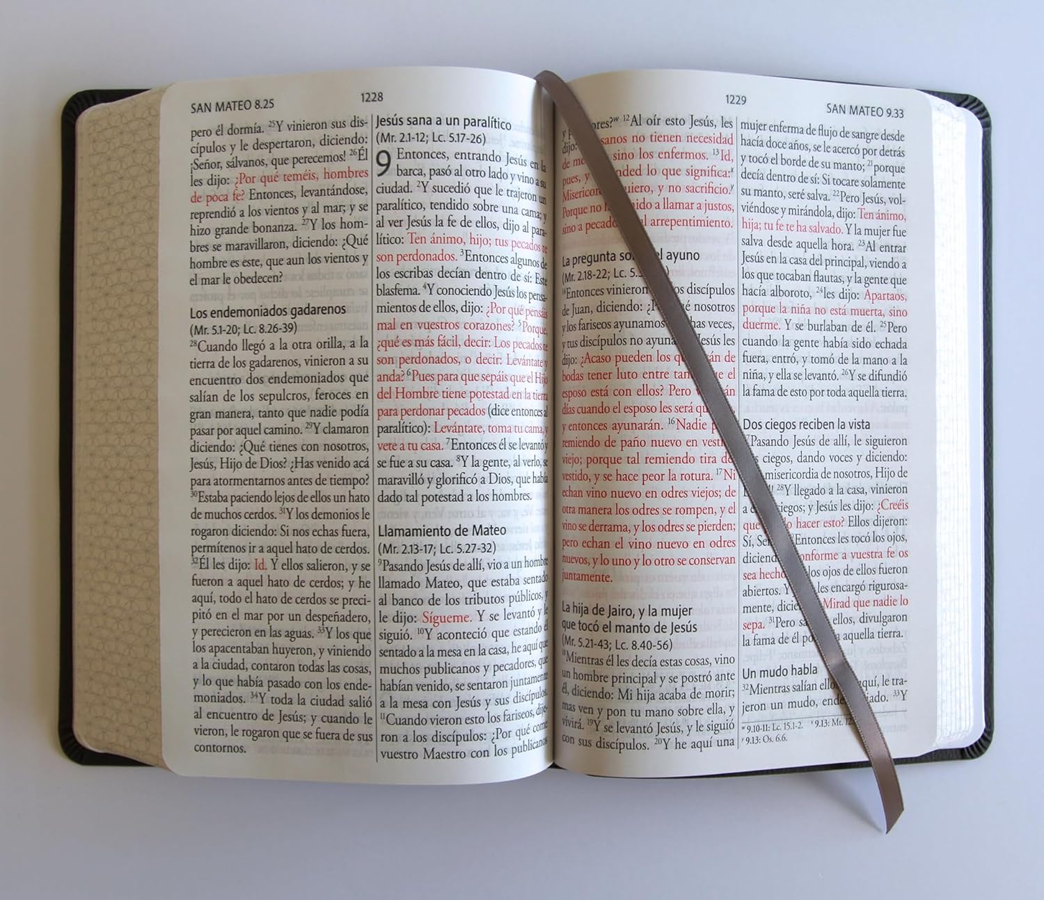 Biblia RVR1960 letra gigante gris