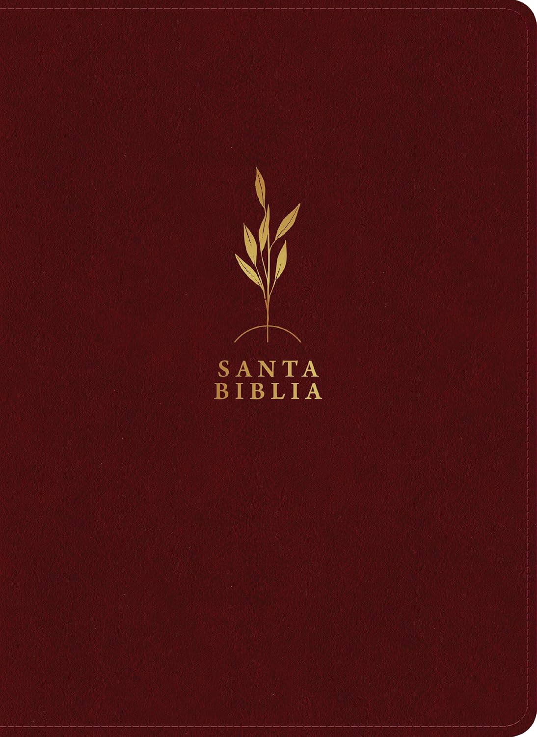 Biblia RVR1960 Estudio del diario vivir vino tinto