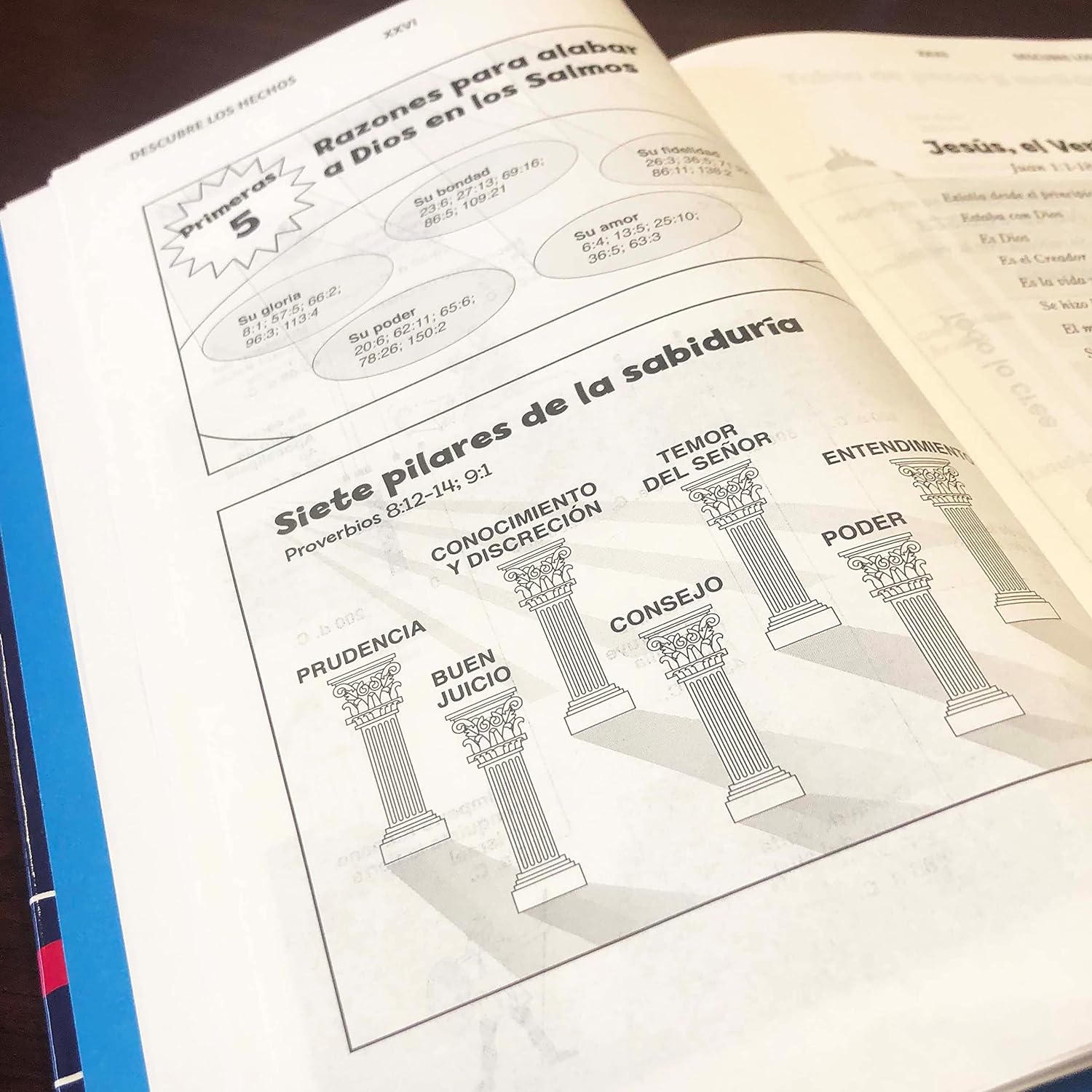 Biblia NVI 2022 para niños texto revisado