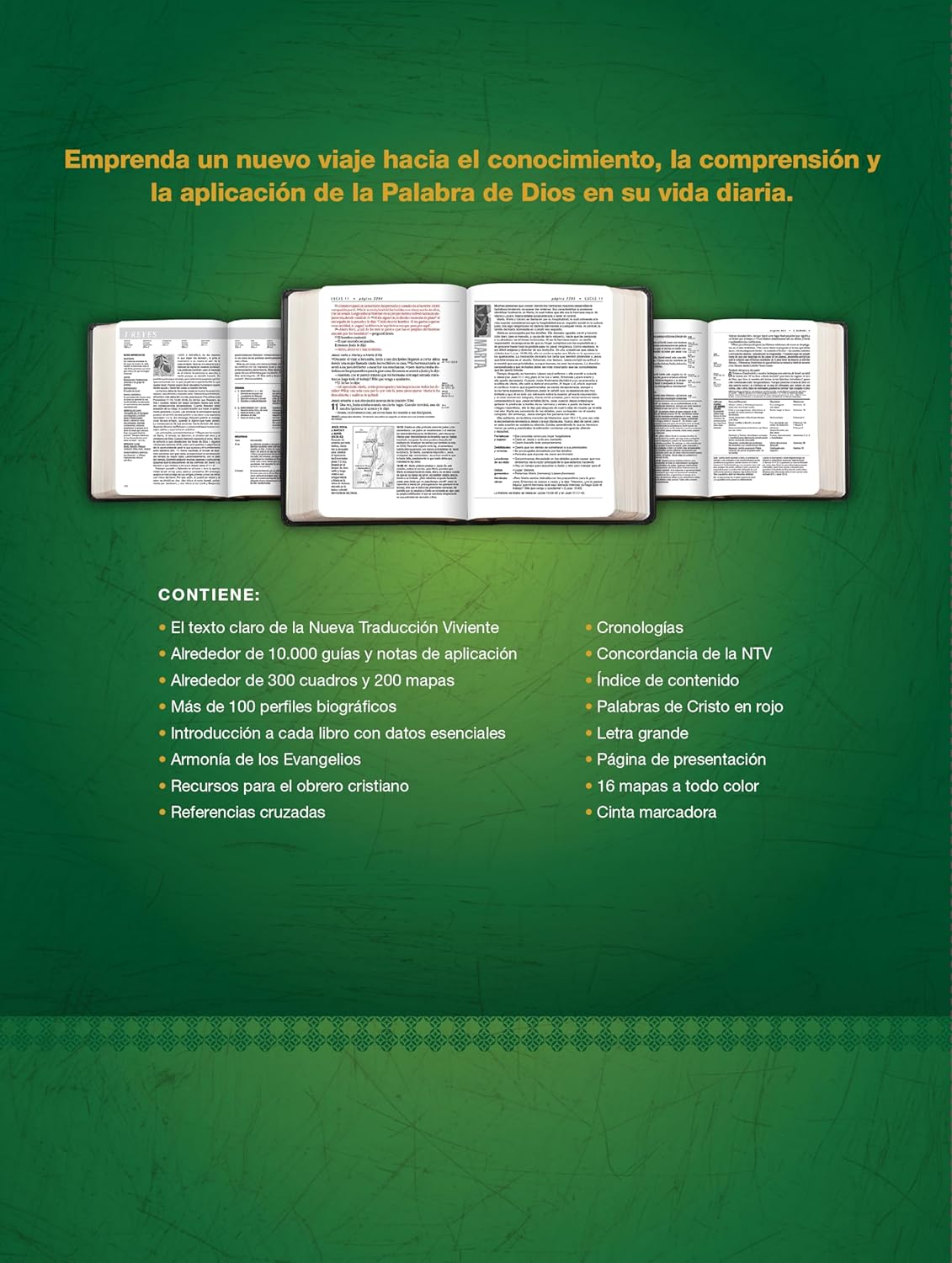 Biblia NTV de estudio del diario vivir manual café café claro