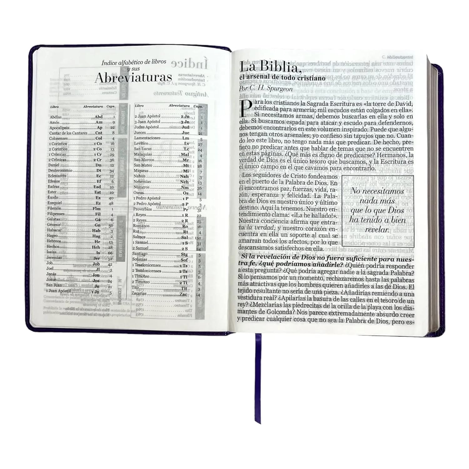 Biblia RV1960 Clasica lila
