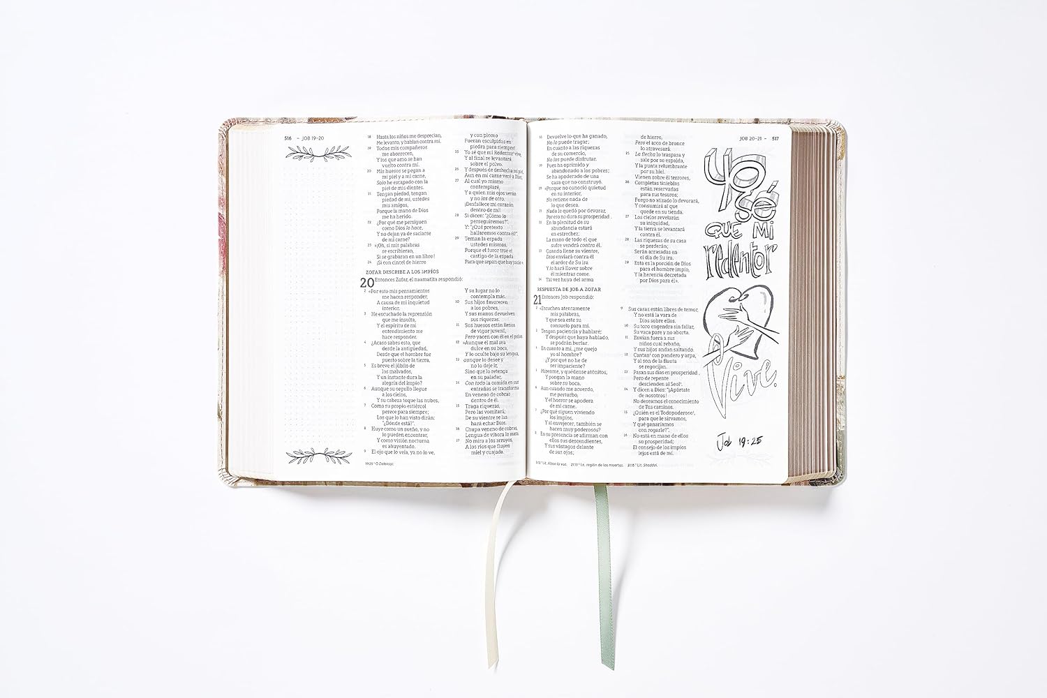 Biblia NBLA Edición Artistica Ilustrada multicolor/ crema