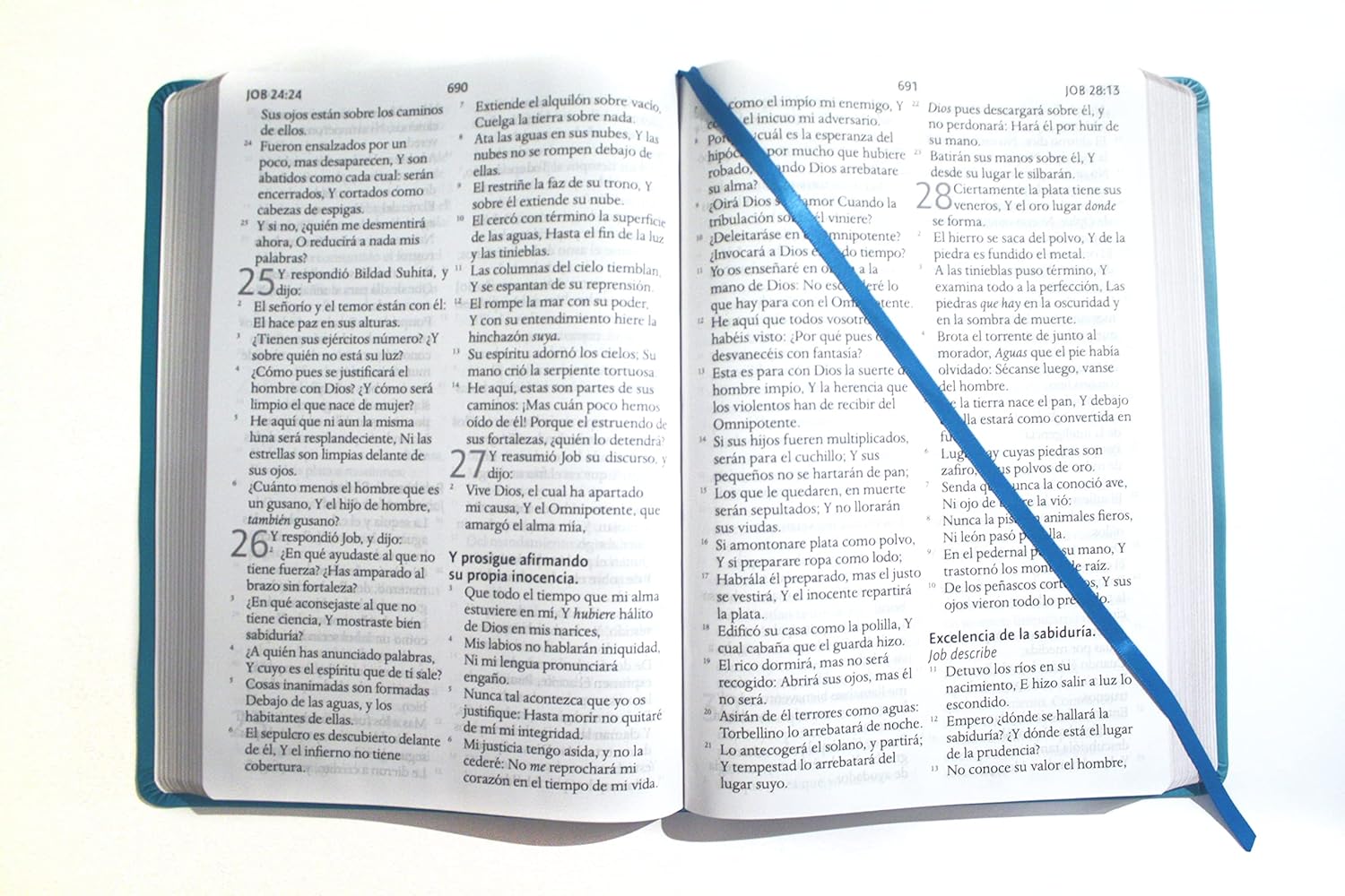 Biblia Reina Valera letra súper gigante, símil piel aguamarina / Spanish Bible Reina Valera