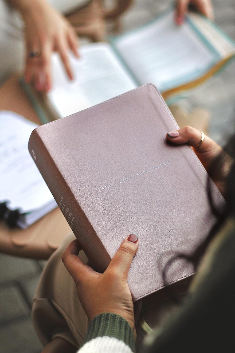 Biblia NBLA Ama a Dios grandemente Oro rosa