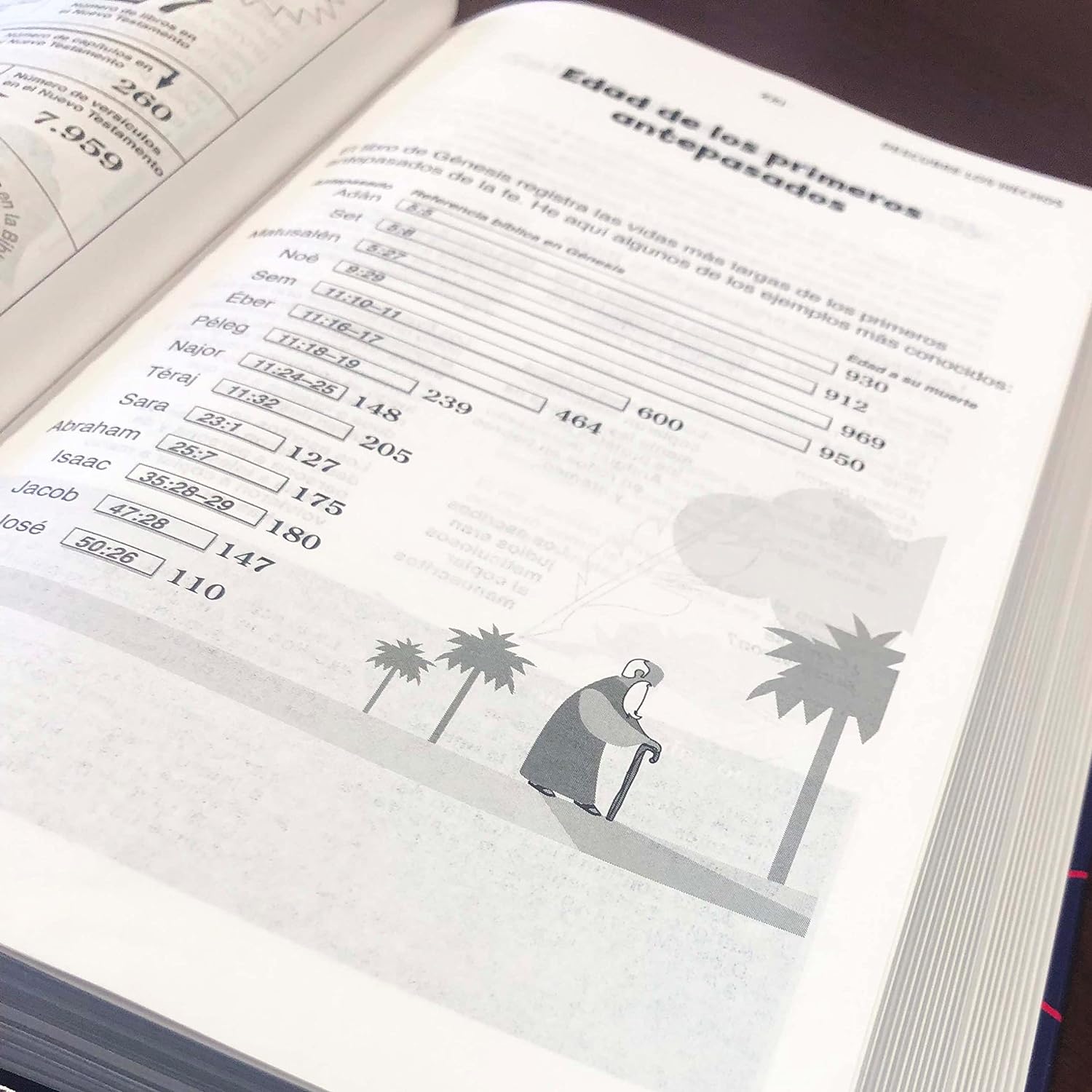 Biblia NVI 2022 para niños texto revisado