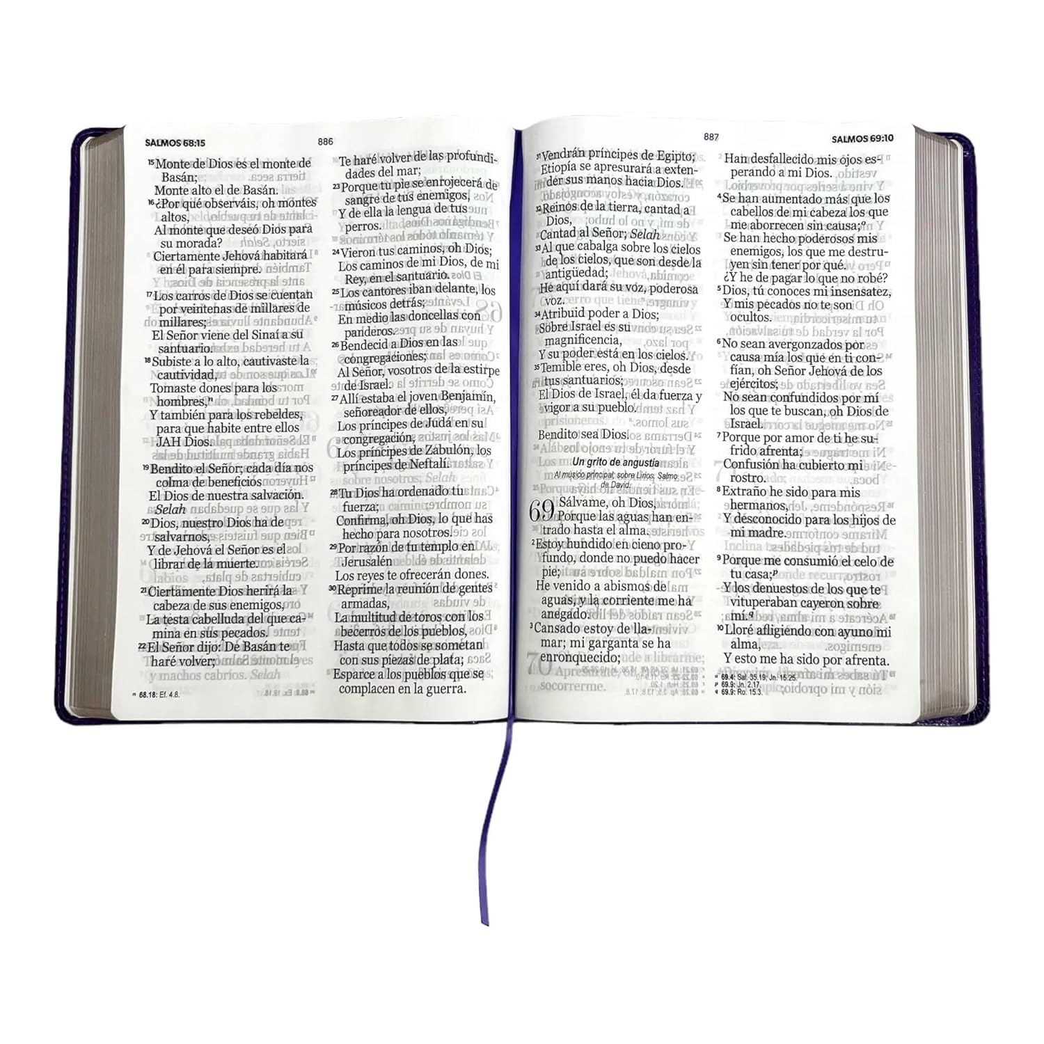 Biblia RV1960 Clasica lila