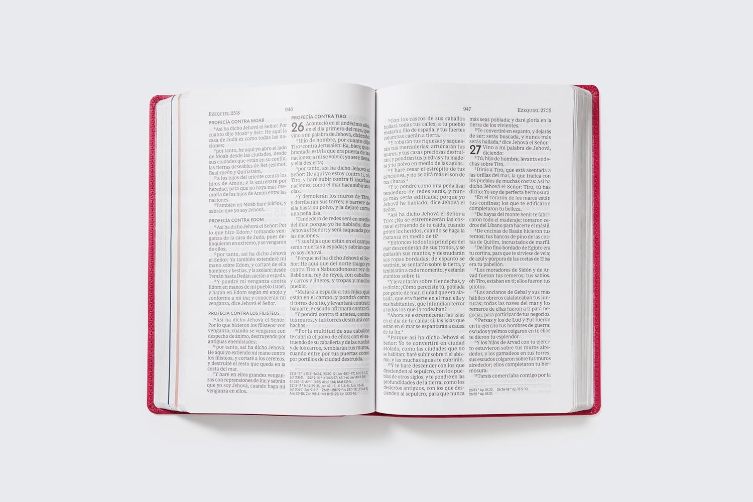 Biblia RVR1960 de la Mama Ocupada magenta