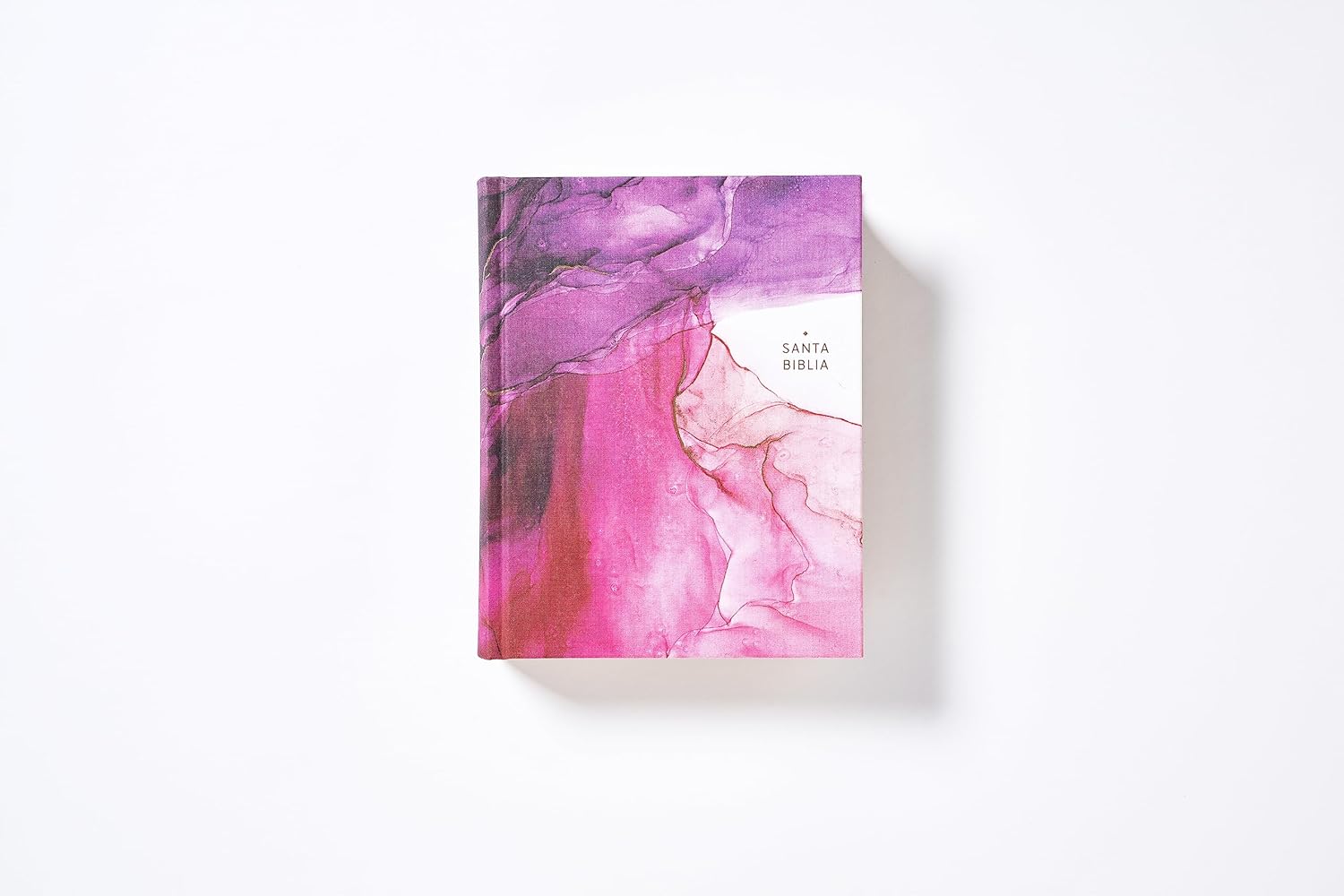 Biblia NBLA Edicion Artistica Ilustrada rosa TD