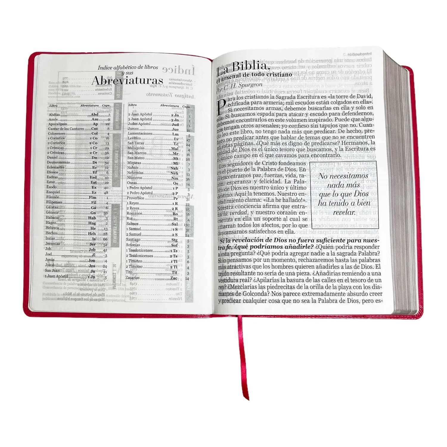 Biblia RVR1960 Clasica fucsia