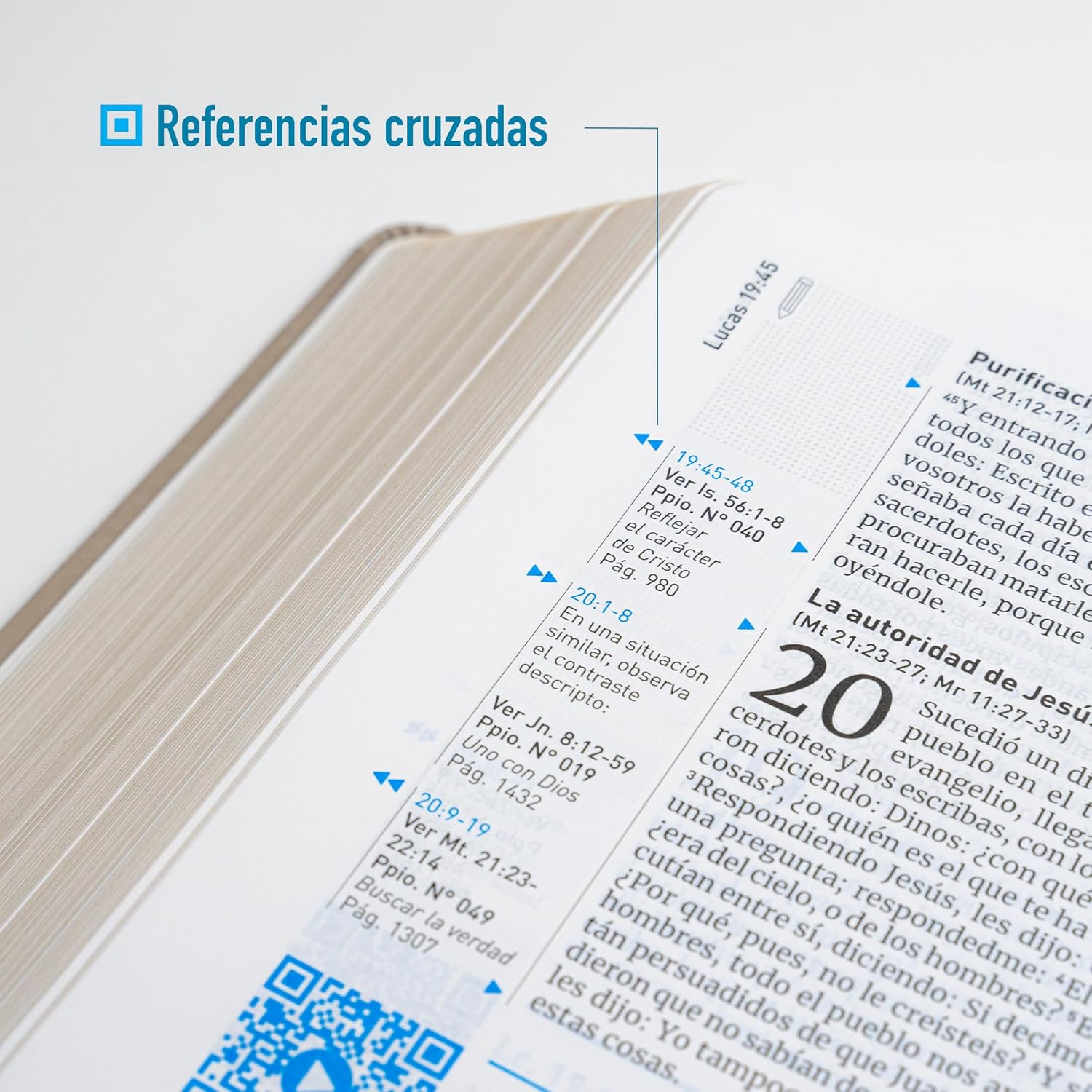 Biblia RV60 QR Principios para vivir arena