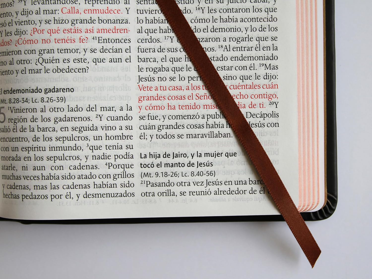 Biblia león RVR60 Bronce