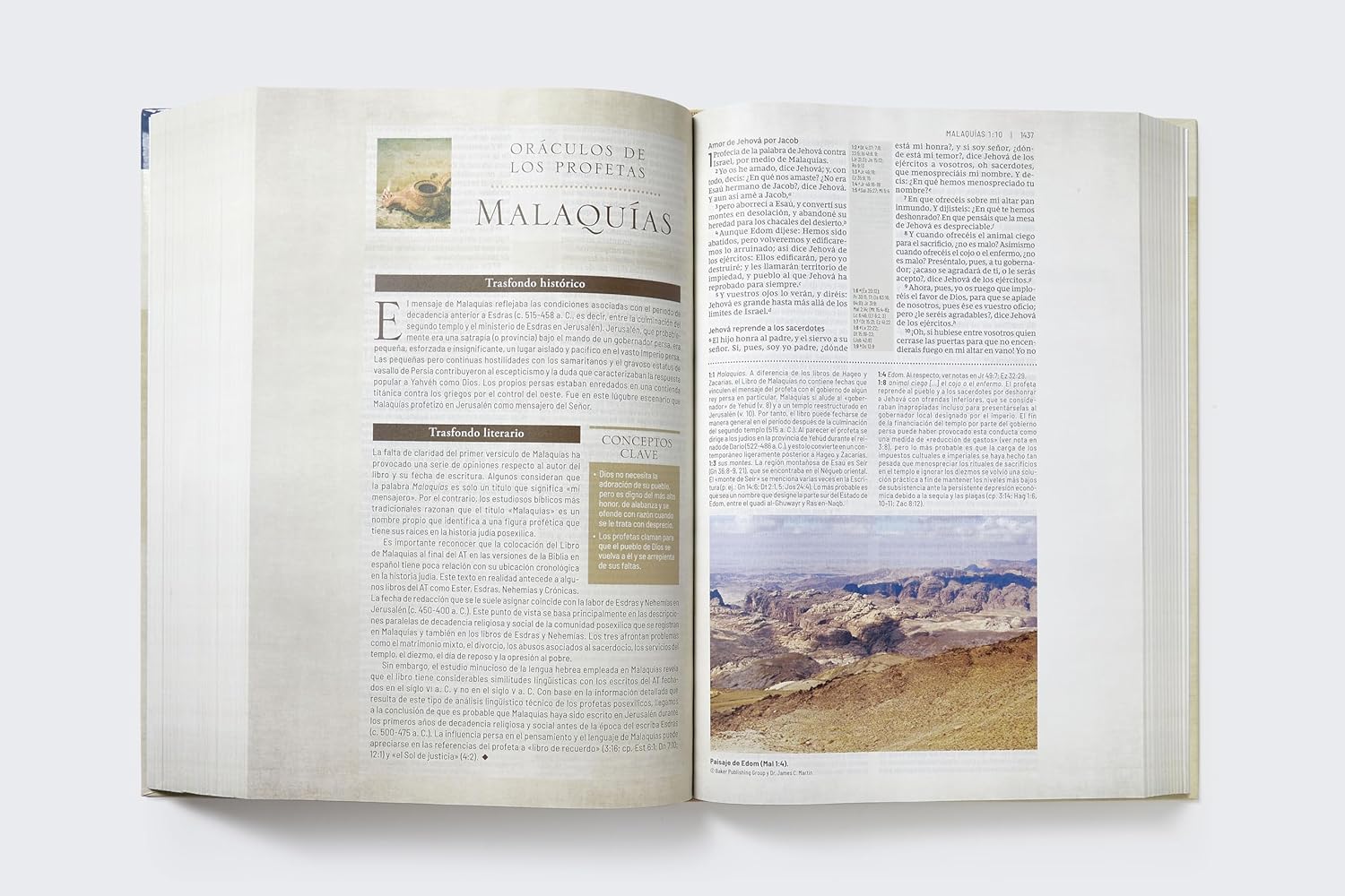 Biblia RVR Estudio transfondo cultural