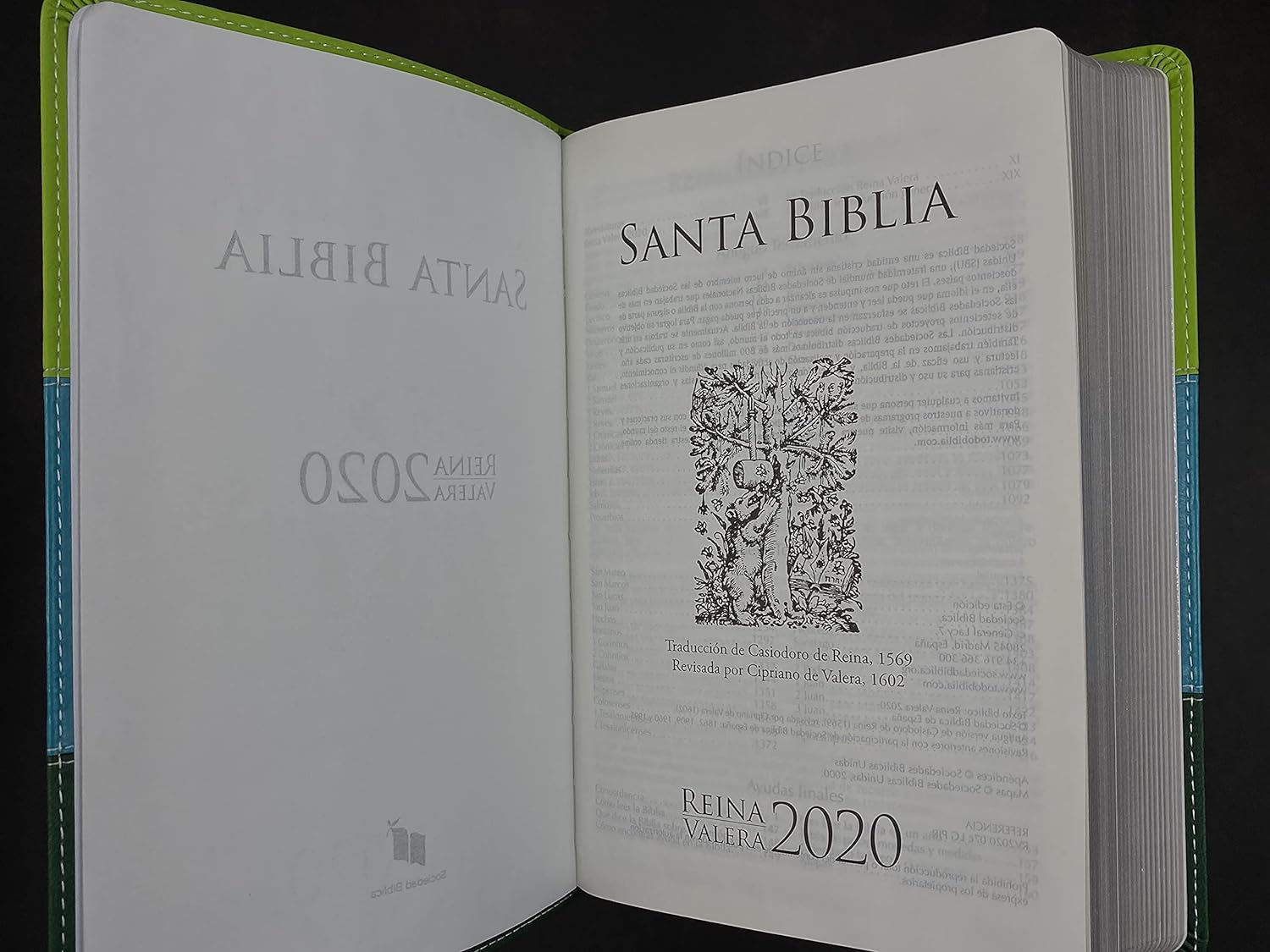Biblia RV2020 Letra grande tricolor verde