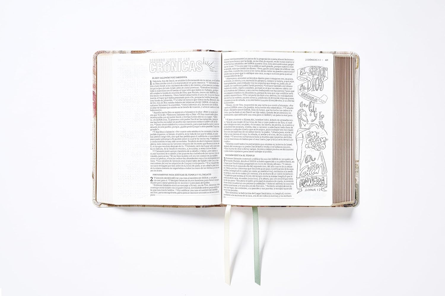 Biblia NBLA Edición Artistica Ilustrada multicolor/ crema