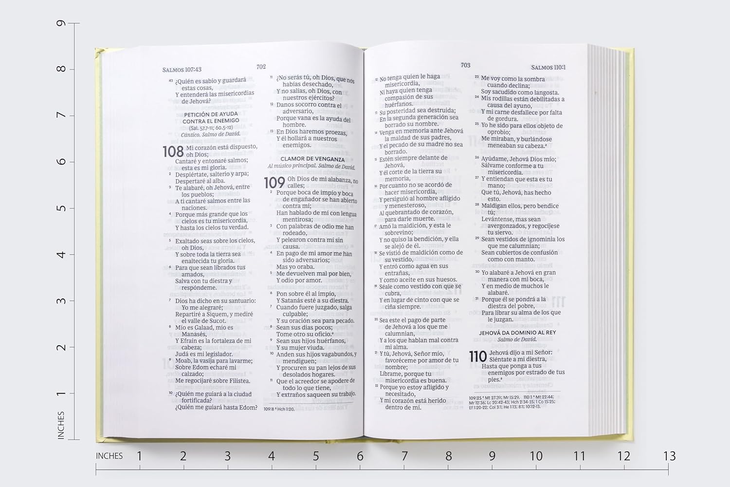 RVR60, Santa Biblia, Premio y Regalo, Letra grande, Tapa dura, Floral, Palabras de Jesús en Rojo