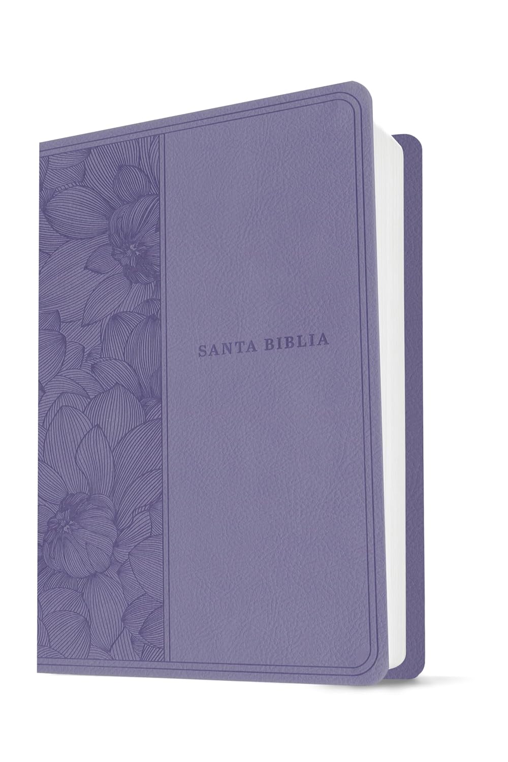 Biblia NTV purpura