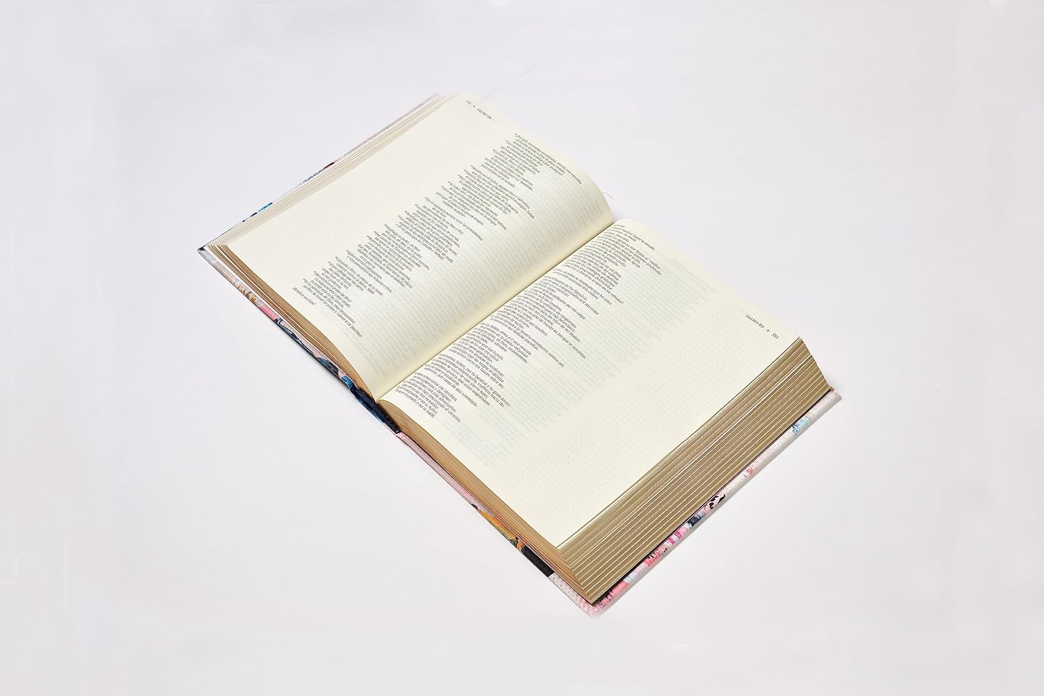 Biblia NVI Texto revisado 2022 edición Artística TP GR