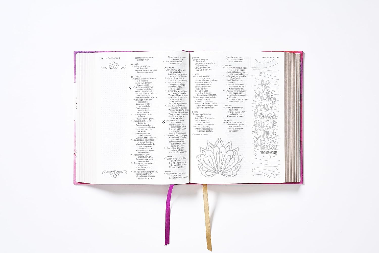 Biblia NBLA Edicion Artistica Ilustrada rosa TD
