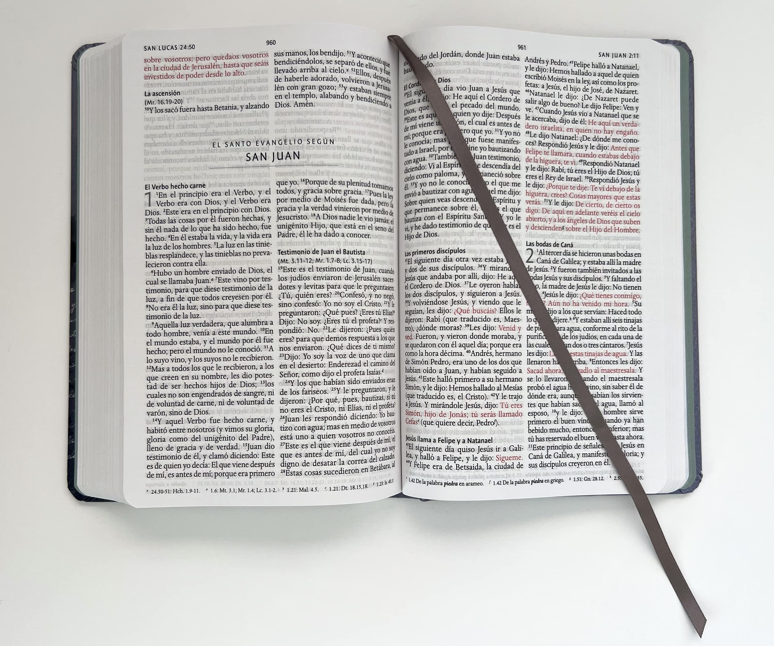 Biblia RVR1960 Nombres de Dios Leon Rey de reyes
