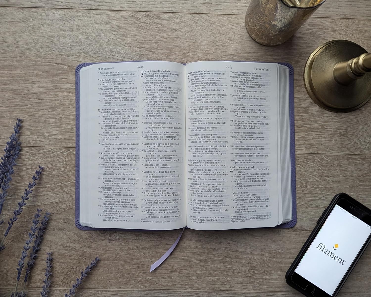 Biblia NTV purpura