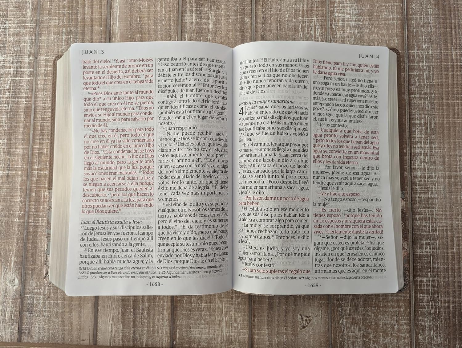 Biblia NTV Letra super gigante beige