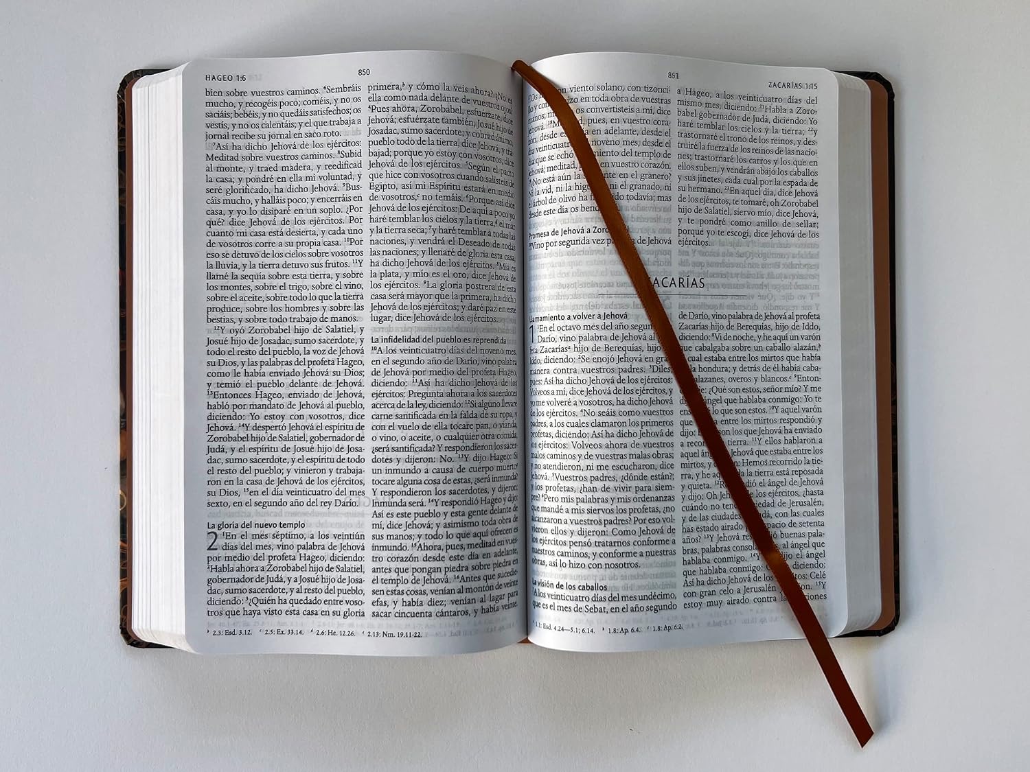 Biblia RVR60 nombres de Dios Jesus sana