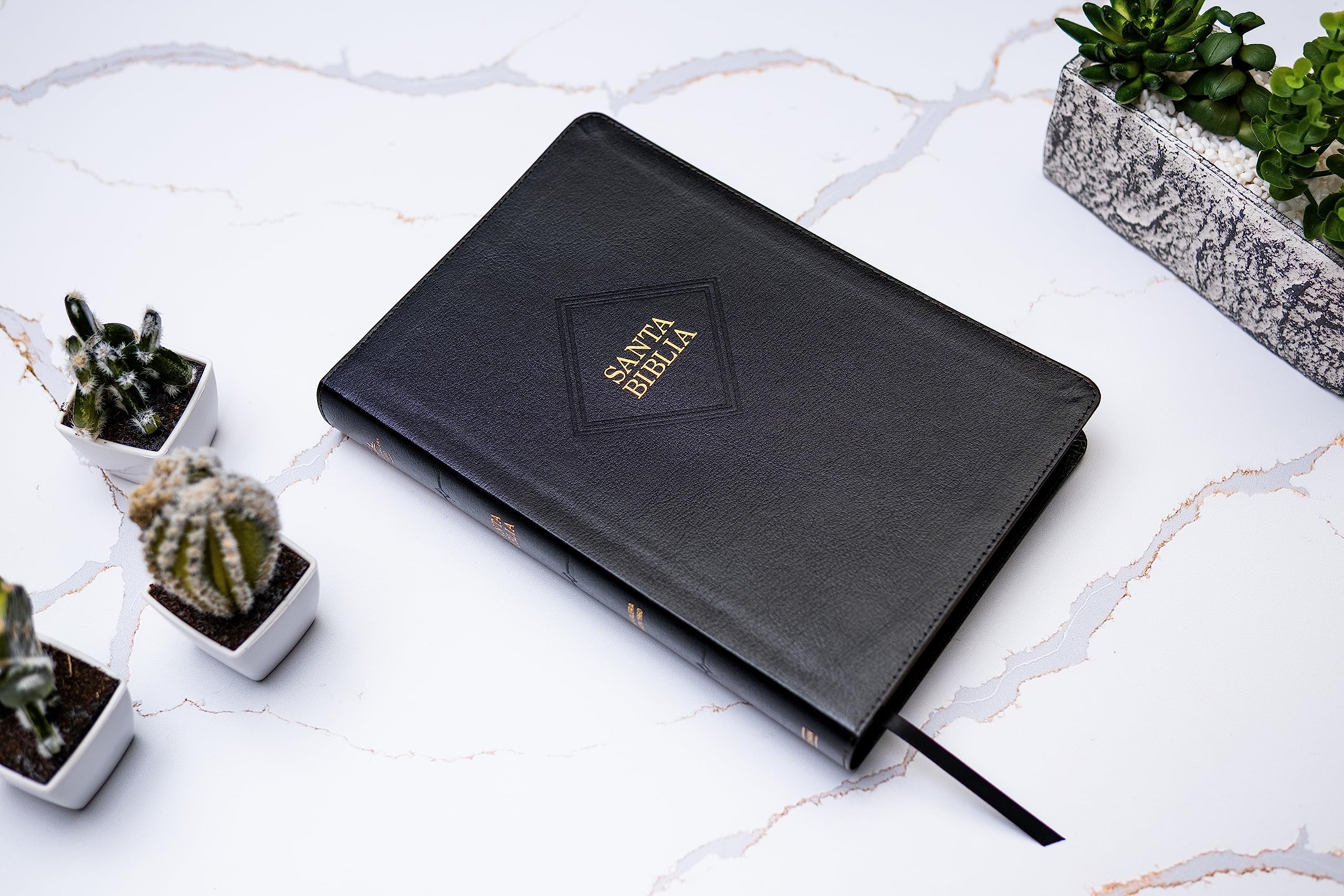 Biblia RVR60 Letra Super Gigante Negra