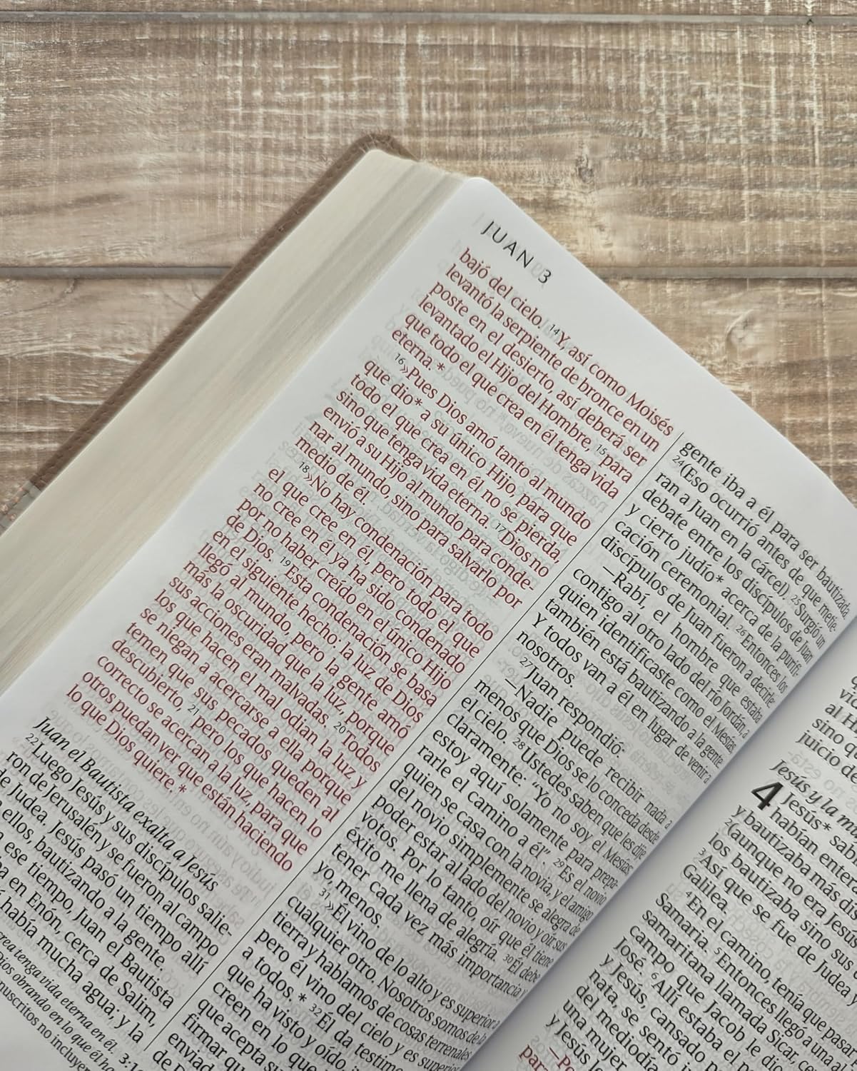 Biblia NTV Letra super gigante beige