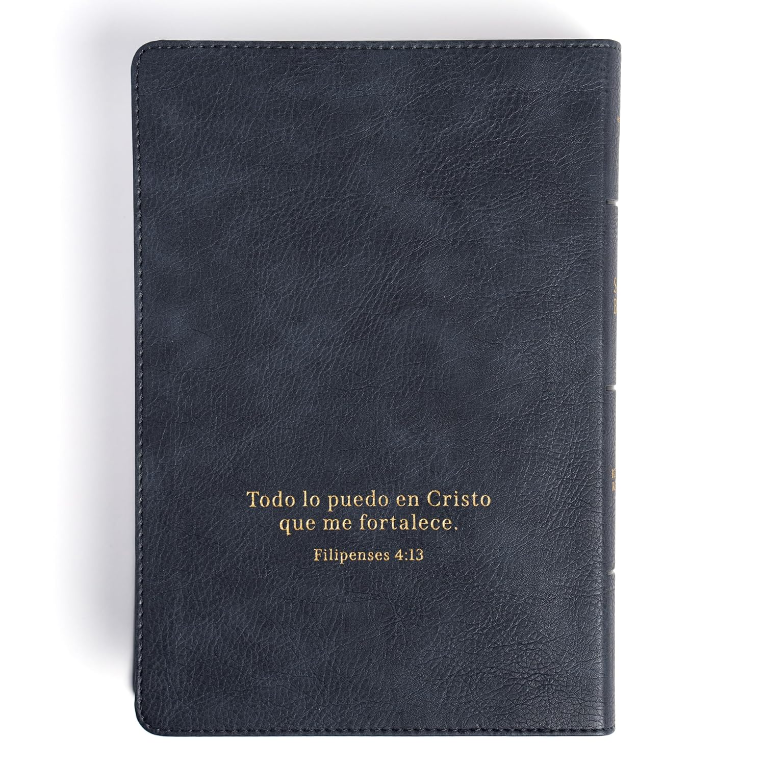 Biblia RVR1960 letra grande  ceniza leon