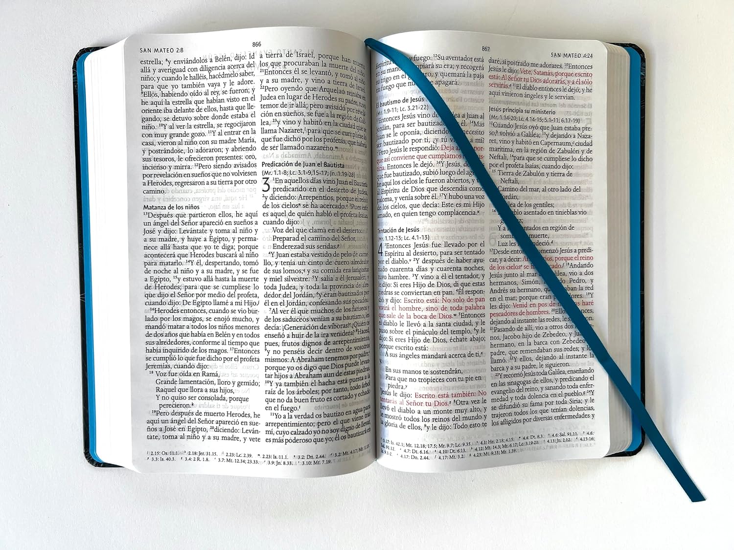 Biblia RVR1960 nombres de Dios leon de juda aguamarina