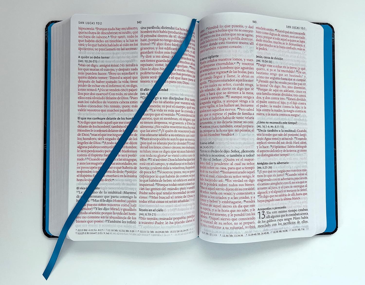 Biblia RVR1960 nombres de Dios leon de juda aguamarina