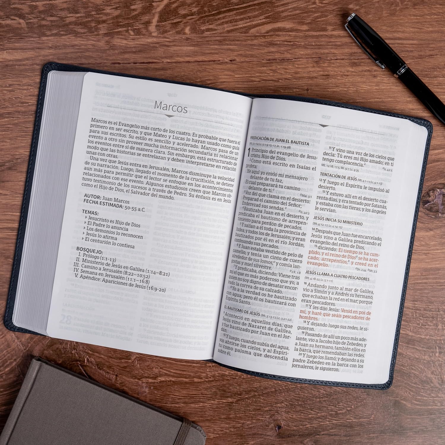 Biblia RVR1960 letra grande  ceniza leon