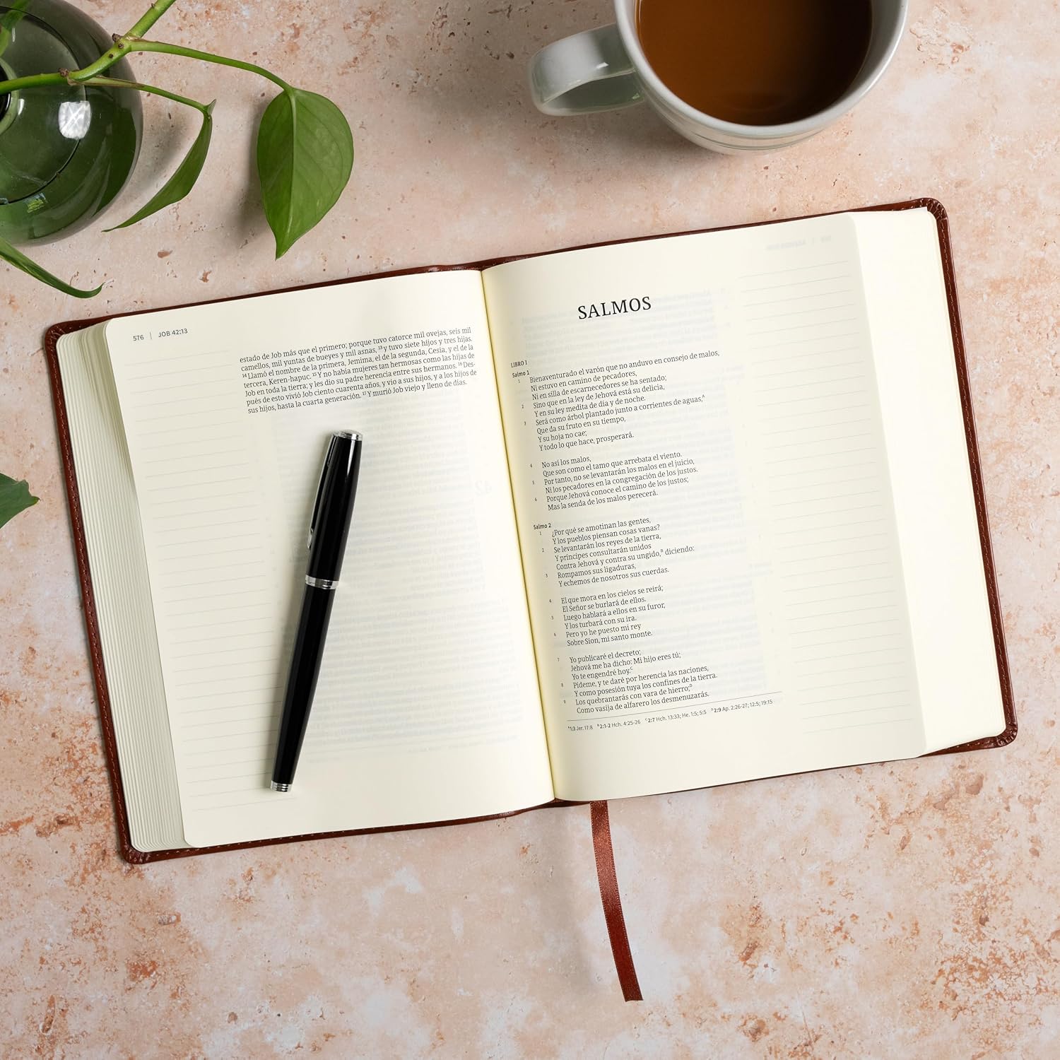 Biblia RVR1960 Apuntes tamaño personal cafe