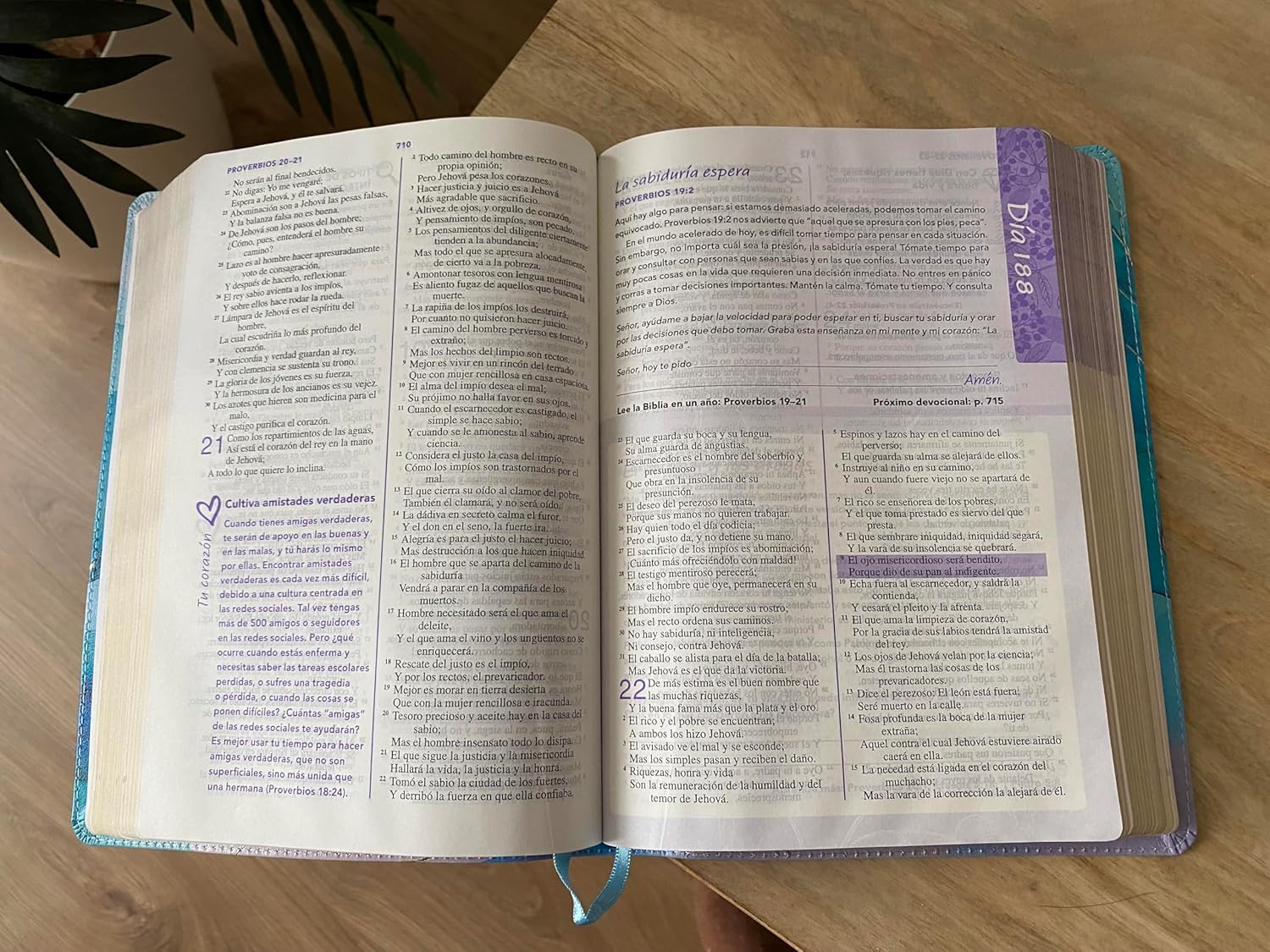 Biblia RVR1960 de una joven conforme al corazón de Dios- brisa