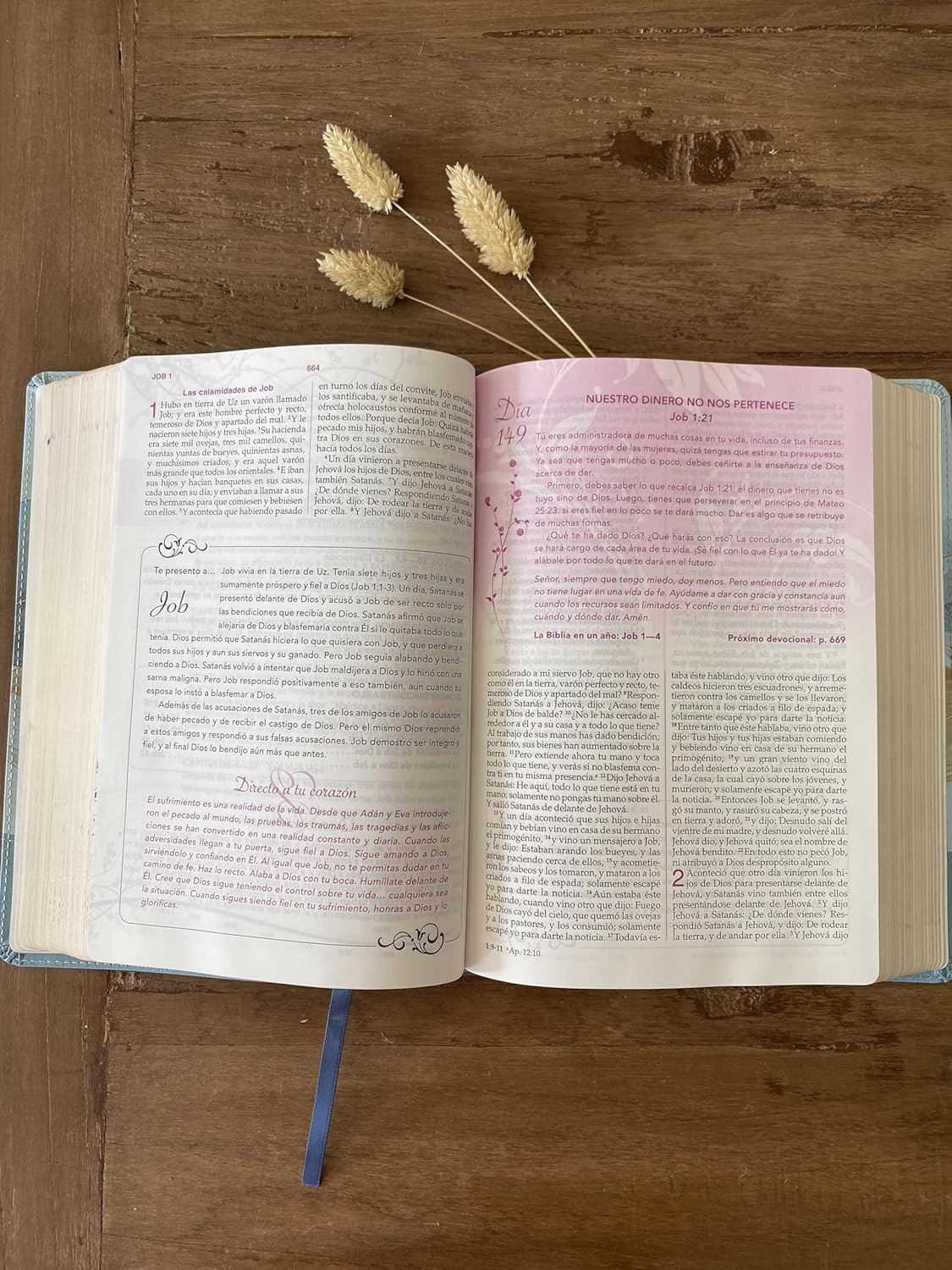Biblia RVR1960 Devocional lenguajes del amor oro rosa