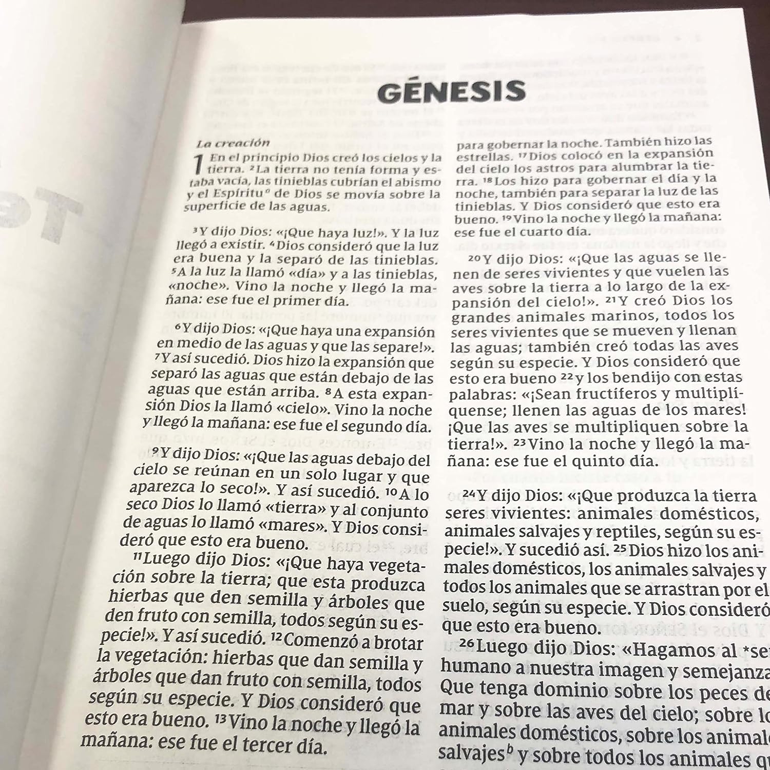Biblia NVI 2022 para niños texto revisado