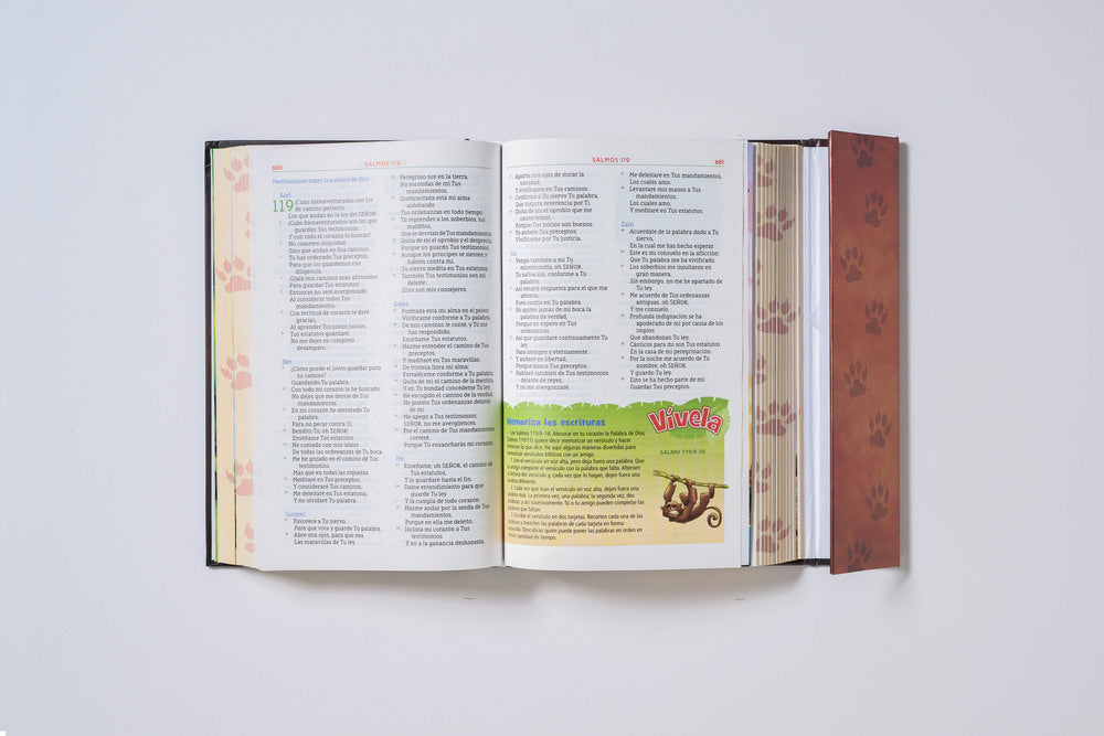 Biblia NBLA Aventura Leon TD cafe Interior a color solapa e iman