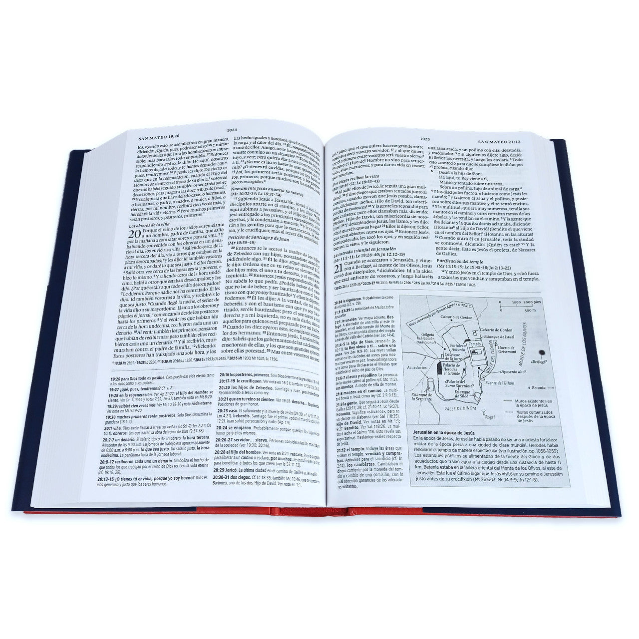 Biblia RVR60 de Estudio Concisa