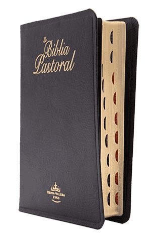 Biblia RVR60 Pastoral piel