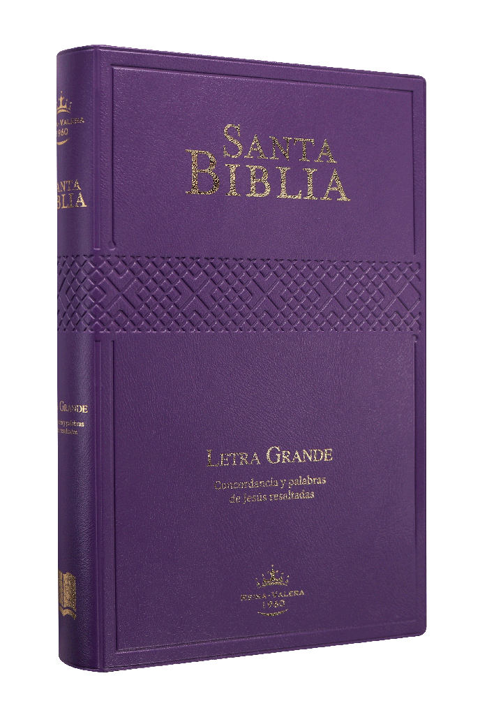 Biblia RVR60 letra grande morado 12P