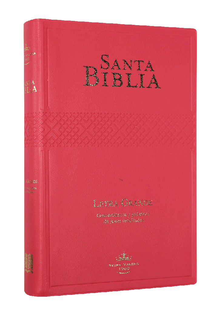 Biblia RVR60 letra grande fucsia