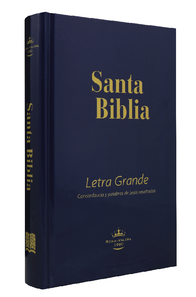 Biblia RVR60 letra grande azul TD