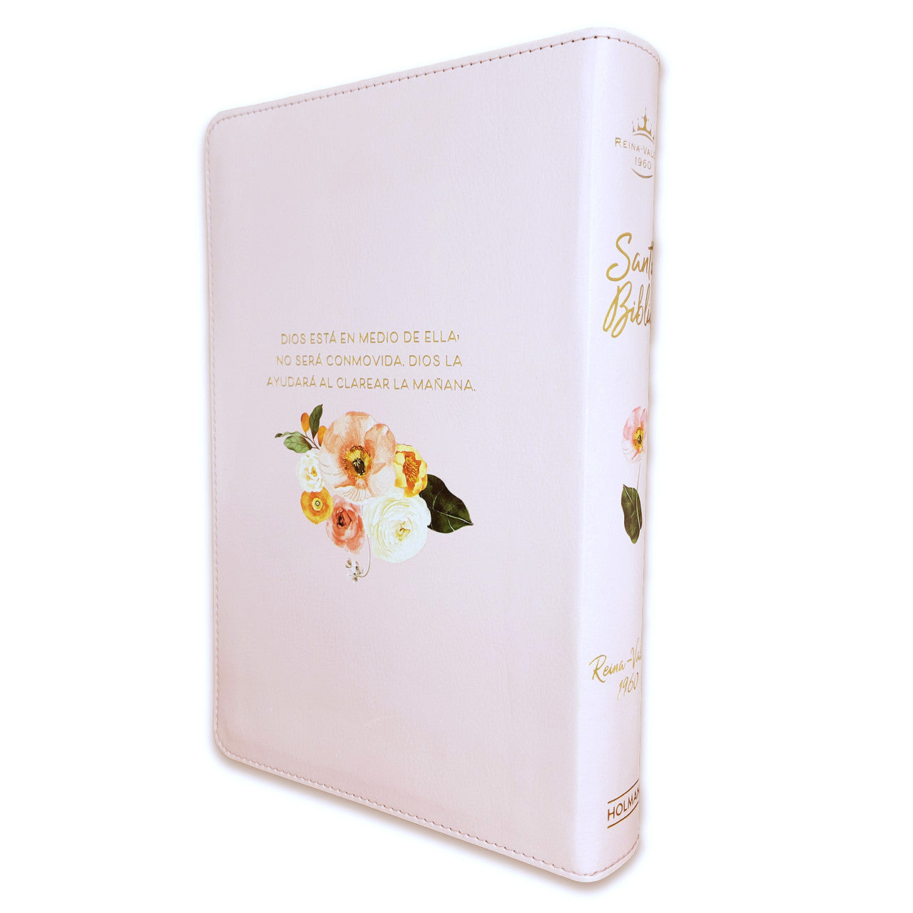 Biblia RVR1960 Letra grande Ed. Lim Durazno Índice