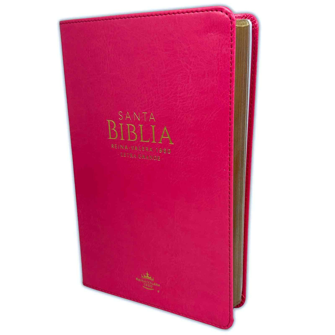Biblia RVR1960 Clasica fucsia