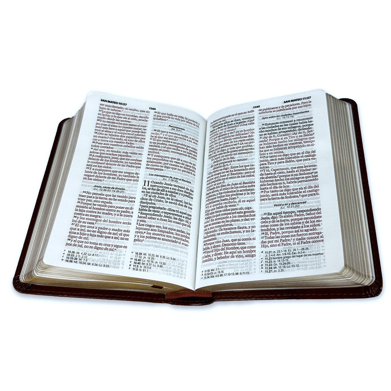 Biblia RVR60 Clasica cafe